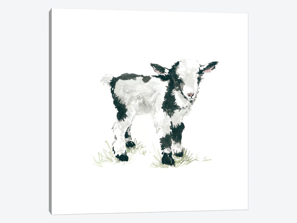 Goat by Carol Robinson 1-piece Canvas Print
