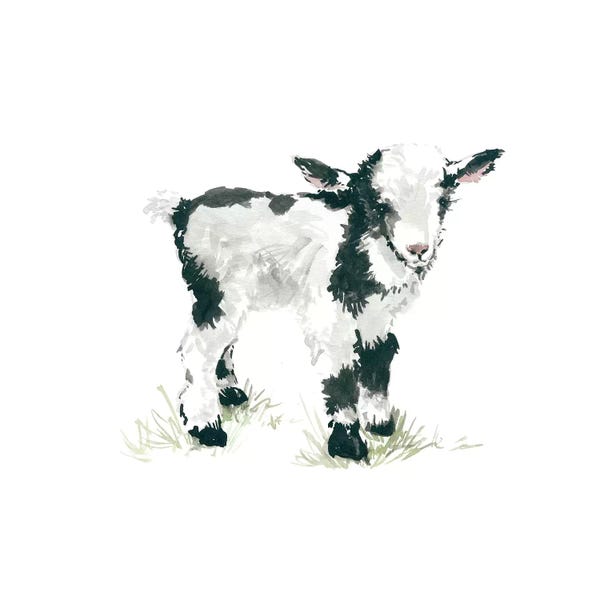 Kids Art Boys: Goat by Carol Robinson
