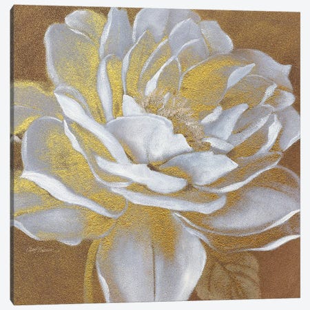 Golden Bloom I Canvas Print #CRO74} by Carol Robinson Canvas Artwork