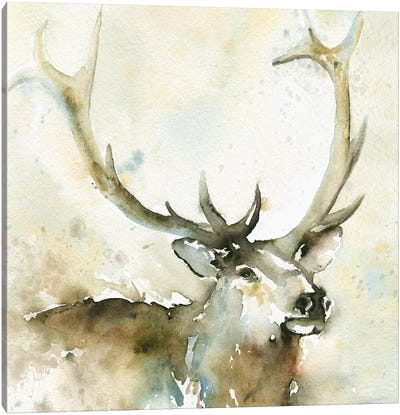 Emerging from the Mist Canvas Art Print - Deer Art