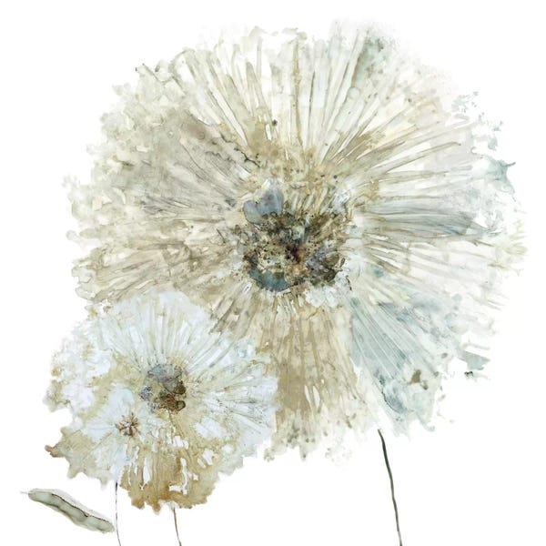 Chrysanthemums: Glittering Mum I by Carol Robinson