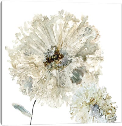 Glittering Mum II Canvas Art Print - Chrysanthemum Art