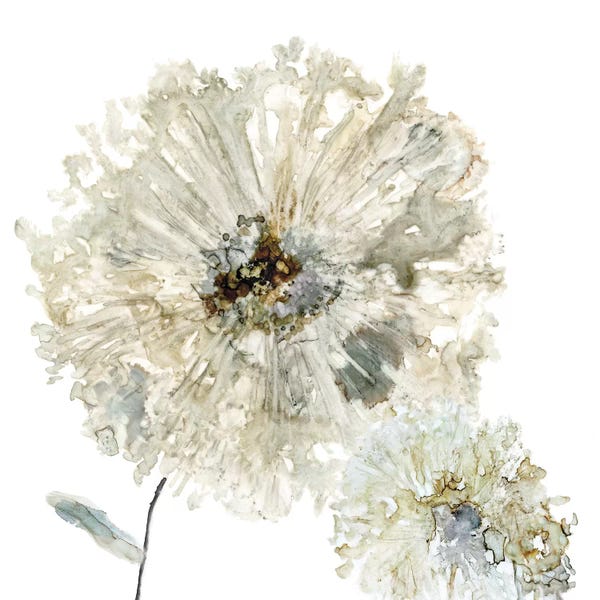 Chrysanthemums: Glittering Mum II by Carol Robinson