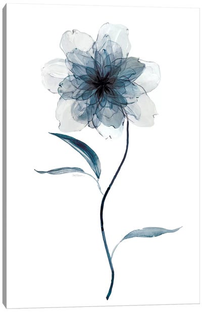 Indigo Floral II Canvas Art Print - Carol Robinson