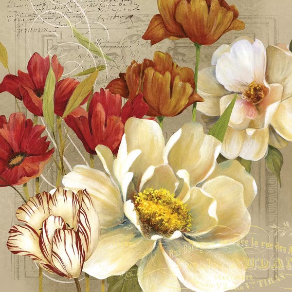 Large Floral & Botanical Art - Canvas Prints: Jardin I by Carol Robinson