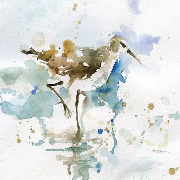 California: Malibu Sand Piper by Carol Robinson