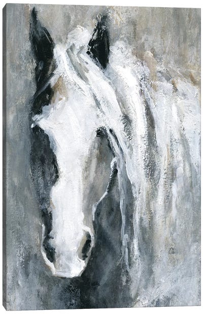 Morning Greeting Canvas Art Print - Horse Art