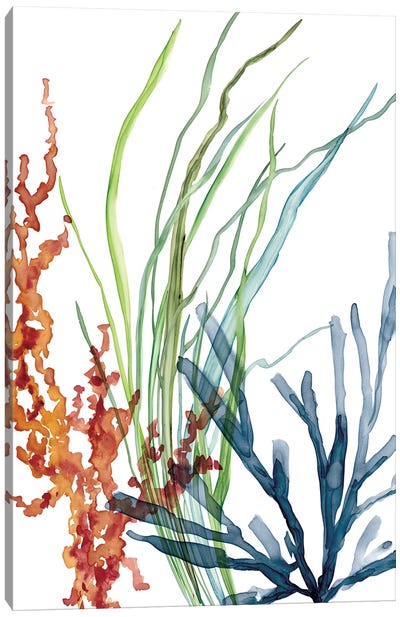 Ocean Garden I Canvas Art Print - Tropical Décor