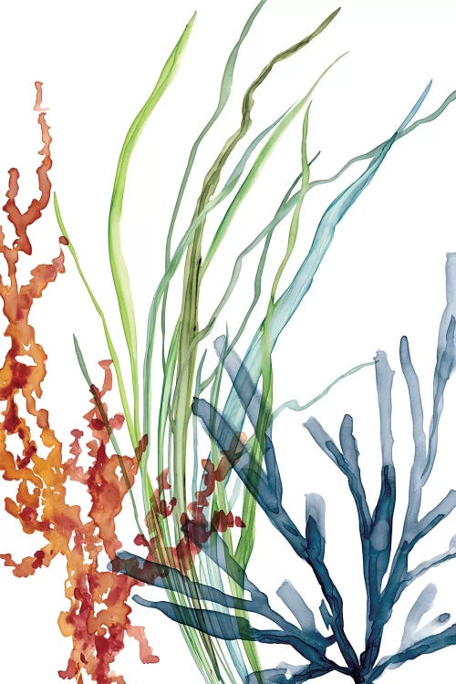 Ocean Garden I by Carol Robinson wall art