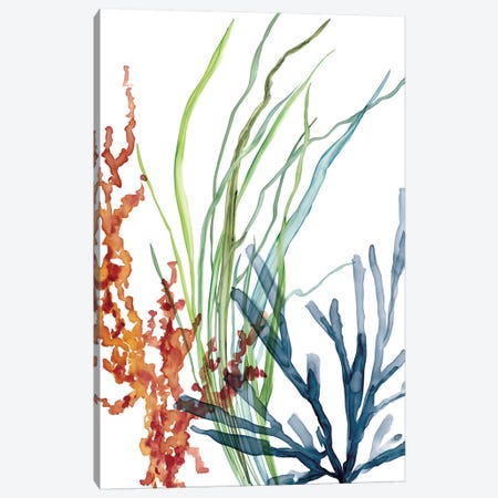 Ocean Garden I Canvas Print #CRO804} by Carol Robinson Canvas Wall Art