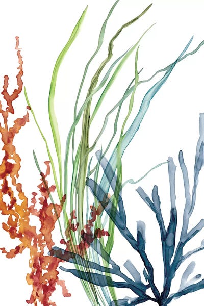 Coral: Ocean Garden I by Carol Robinson