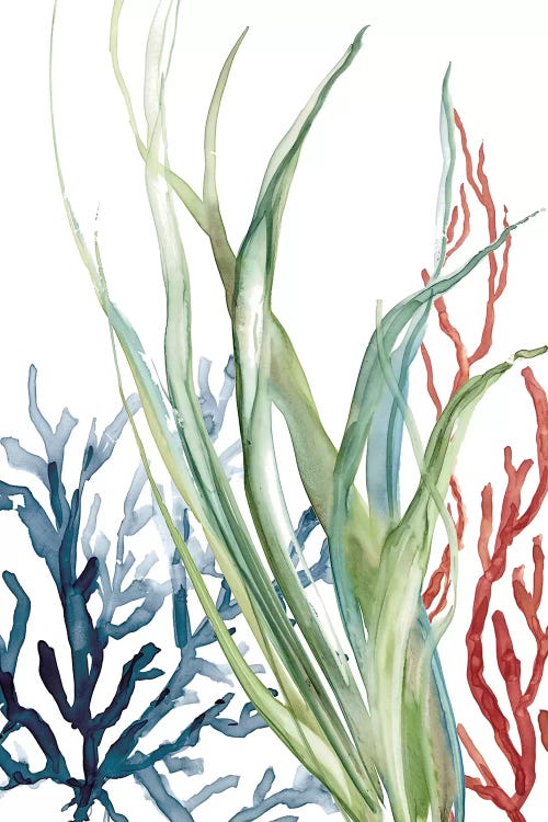 Ocean Garden II by Carol Robinson wall art