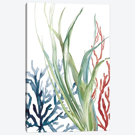Ocean Garden II Canvas Print #CRO805} by Carol Robinson Canvas Artwork