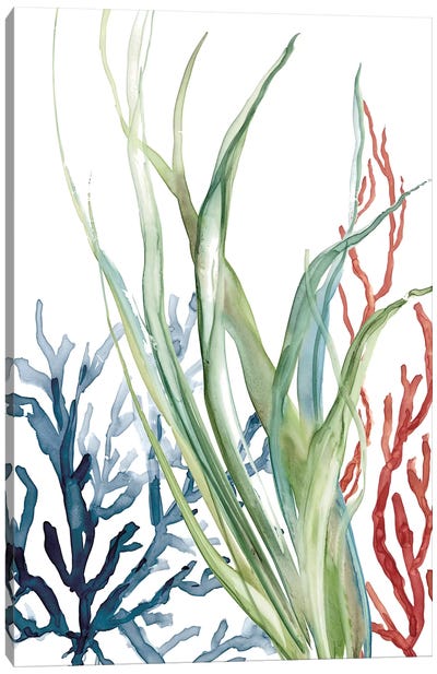 Ocean Garden II Canvas Art Print - Tropical Décor