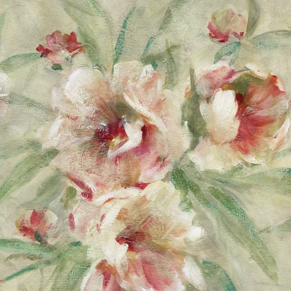 Peonies: Peony Garden II by Carol Robinson