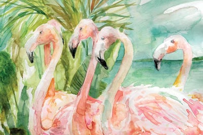 Flamingos