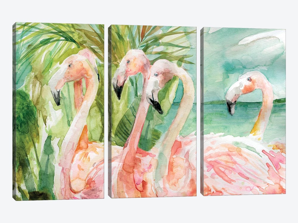 Pink Ladies by Carol Robinson 3-piece Canvas Art