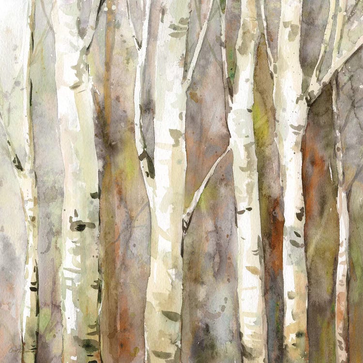 Quiet Morning II by Carol Robinson wall art