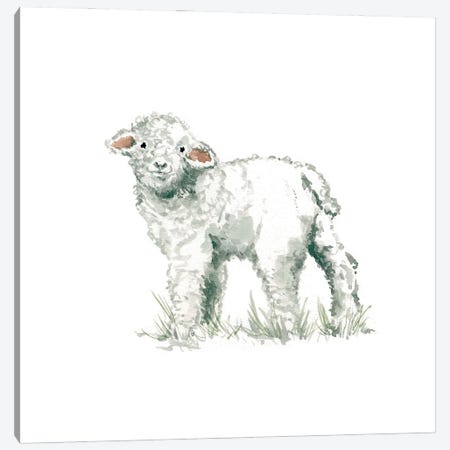 Lamb Canvas Print #CRO82} by Carol Robinson Canvas Wall Art