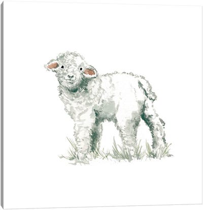 Lamb Canvas Art Print - Pure White
