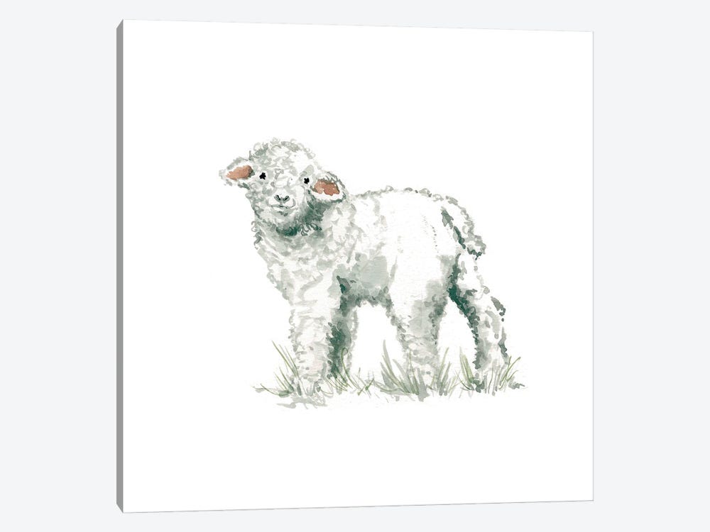 Lamb by Carol Robinson 1-piece Canvas Art Print