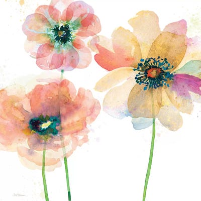 Summer Field's II by Carol Robinson canvas print