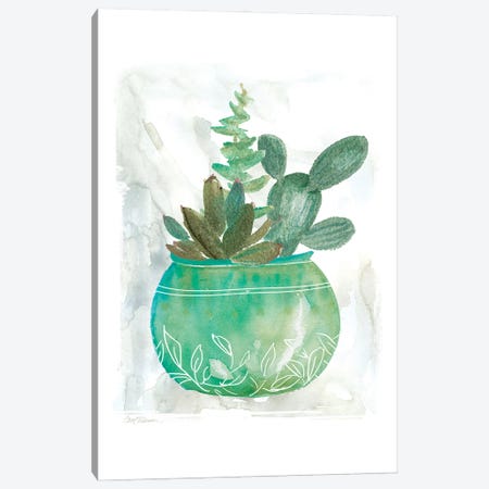 Summer Succulent Canvas Print #CRO843} by Carol Robinson Canvas Art Print
