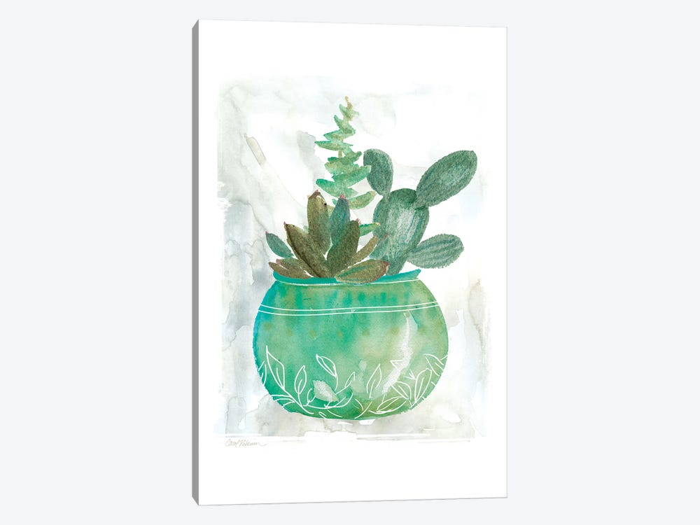 Summer Succulent by Carol Robinson 1-piece Canvas Art Print