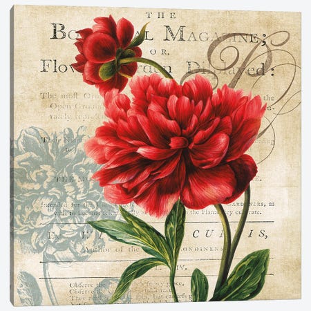 The Botanical Magazine Canvas Print #CRO848} by Carol Robinson Canvas Art Print