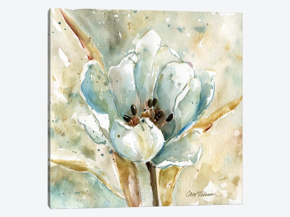 Tulip by Carol Robinson 1-piece Canvas Artwork