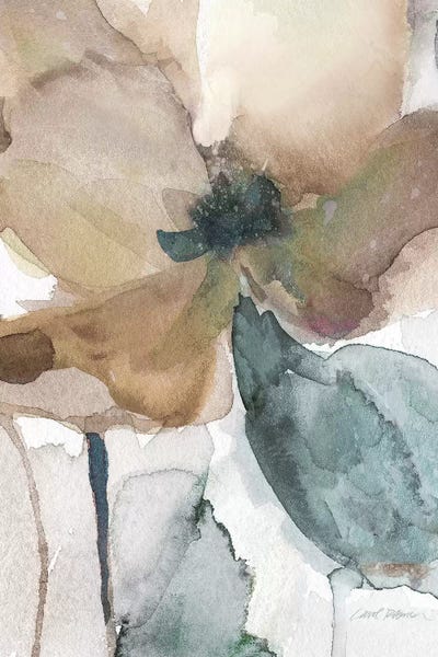 Watercolor Poppy I by Carol Robinson framed canvas print