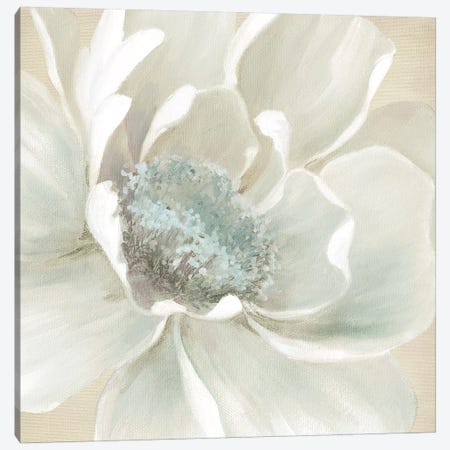 Winter Blooms I Canvas Print #CRO864} by Carol Robinson Canvas Wall Art