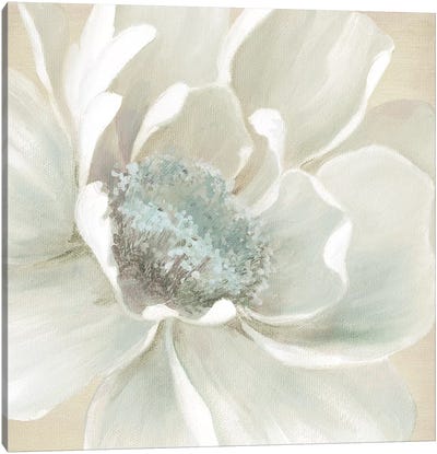 Winter Blooms I Canvas Art Print - Carol Robinson