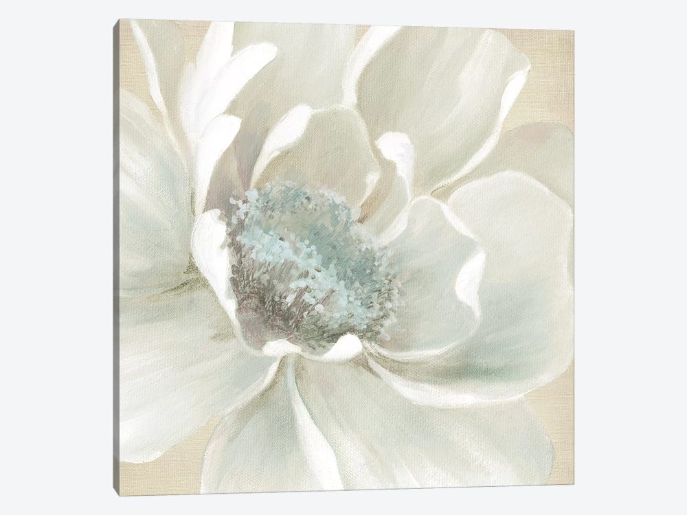 Winter Blooms I by Carol Robinson 1-piece Canvas Artwork
