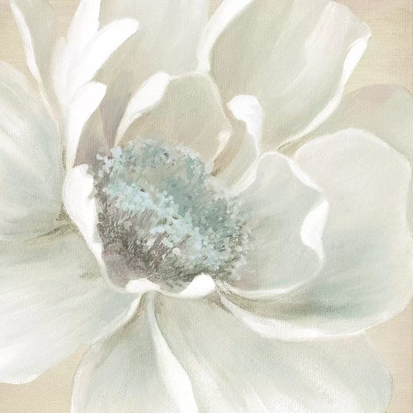 Large Wall Art & Big Canvas Prints: Winter Blooms I by Carol Robinson