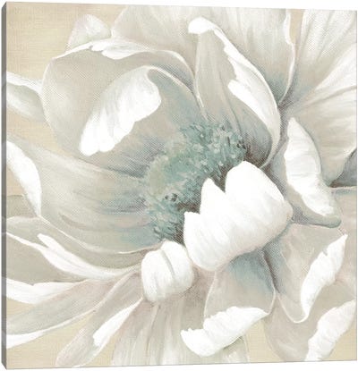 Winter Blooms II Canvas Art Print - Flower Art