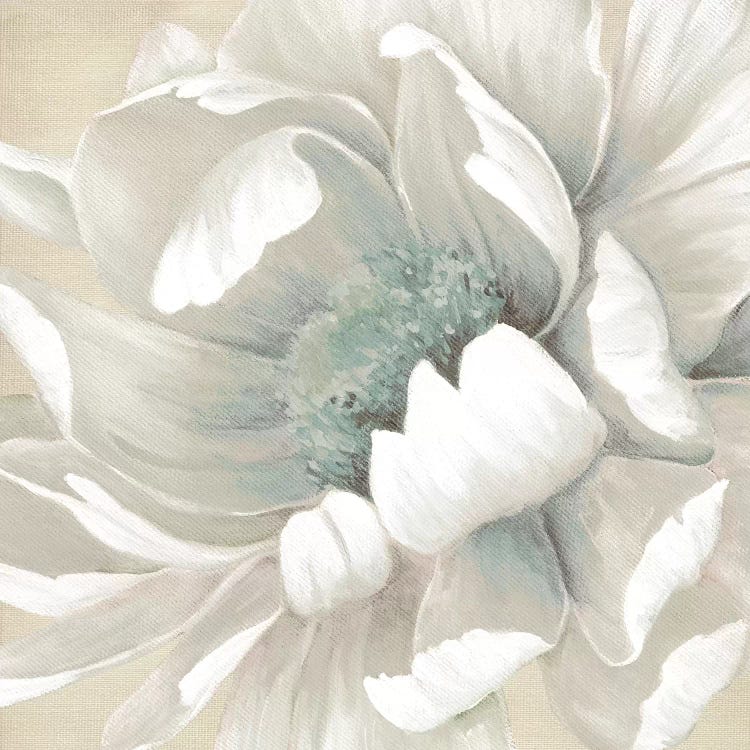 Winter Blooms II by Carol Robinson wall art