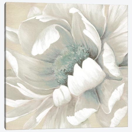 Winter Blooms II Canvas Print #CRO865} by Carol Robinson Canvas Wall Art