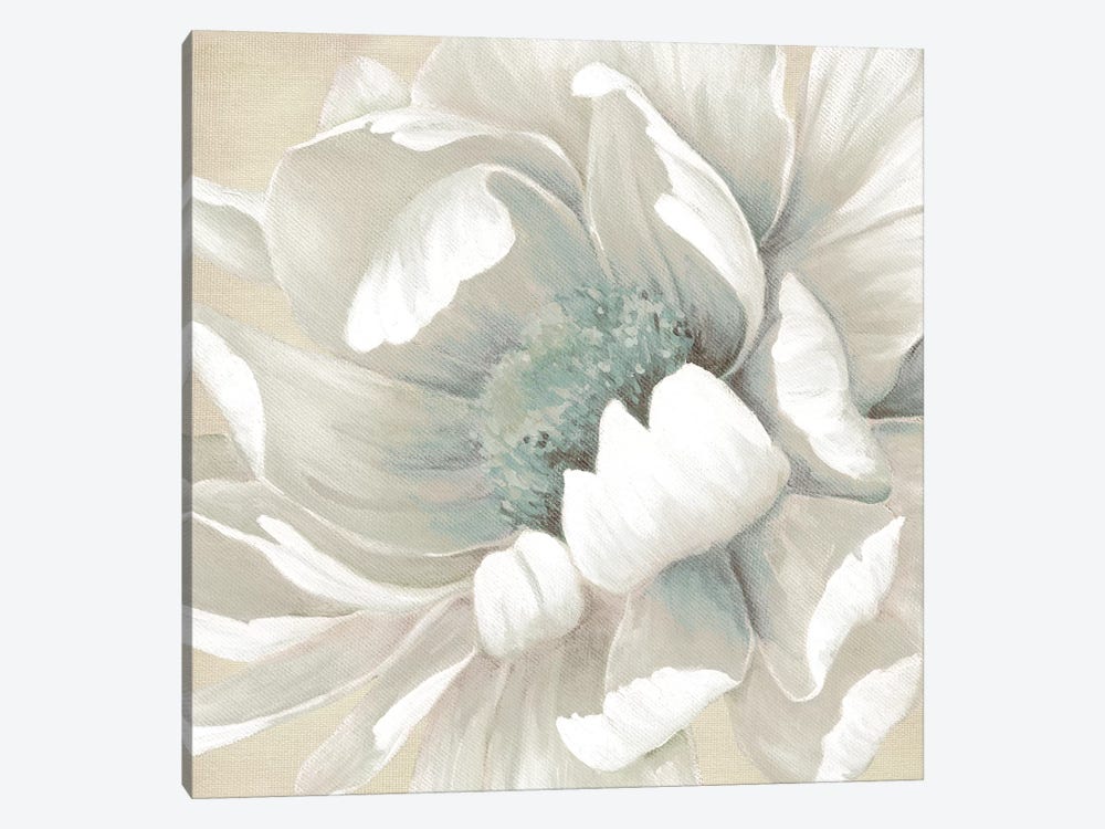 Winter Blooms II by Carol Robinson 1-piece Canvas Art Print