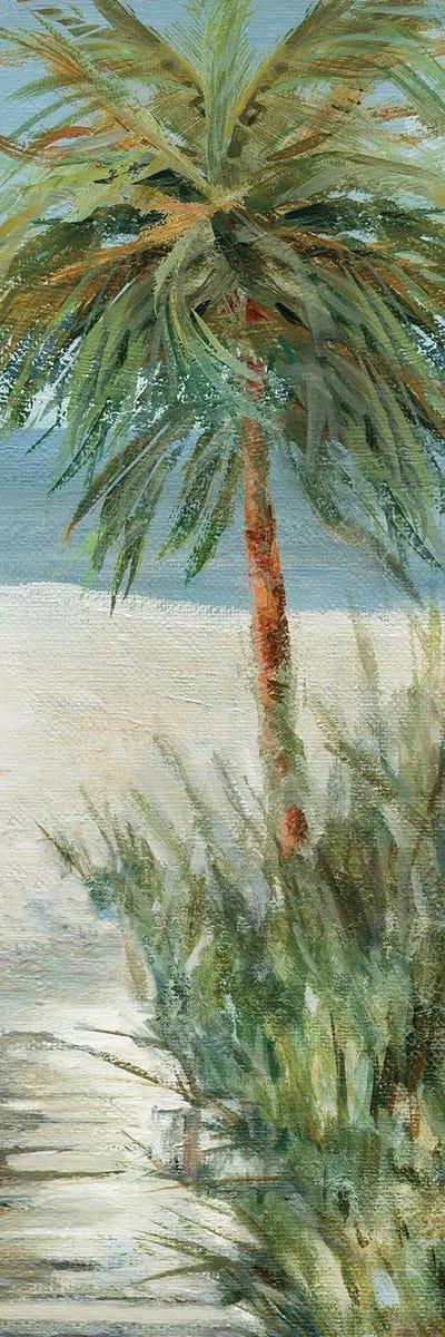 Beach Walk II by Carol Robinson framed canvas print