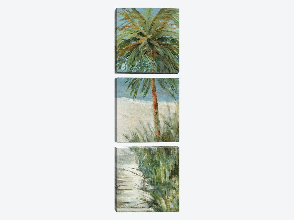 Beach Walk II by Carol Robinson 3-piece Canvas Print