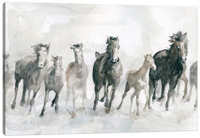 Running Wild Canvas Art Print - Horse Art
