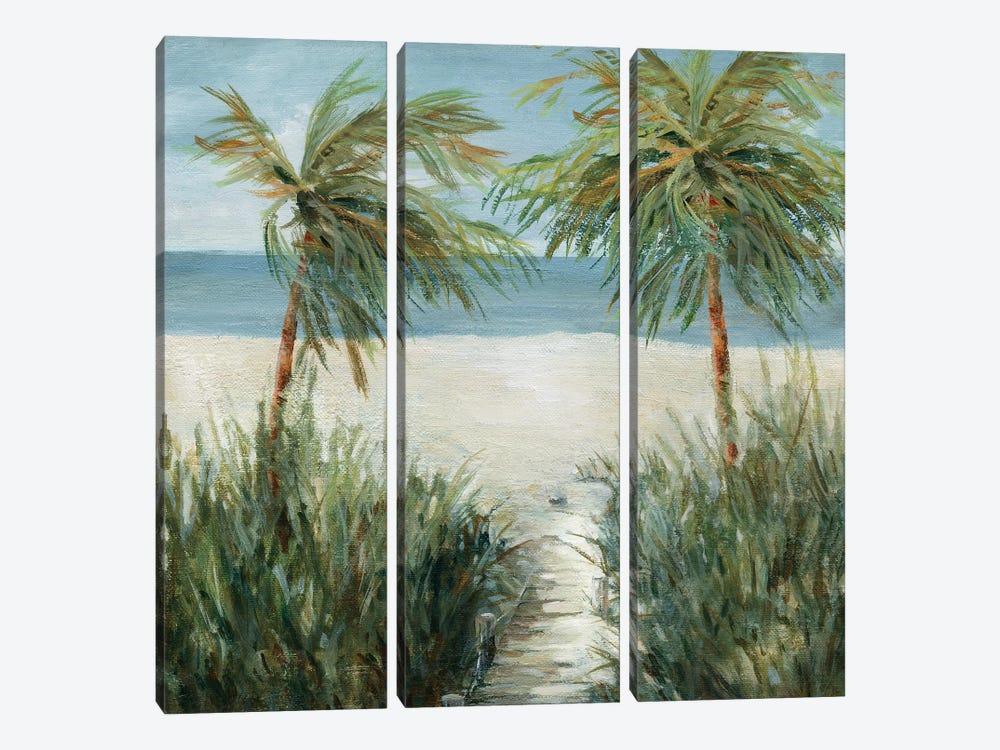 Sandy Beachwalk by Carol Robinson 3-piece Art Print