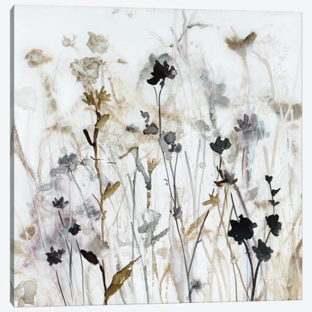 Wildflower Mist I Canvas Print #CRO902} by Carol Robinson Canvas Art