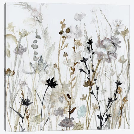 Wildflower Mist II Canvas Print #CRO903} by Carol Robinson Canvas Art