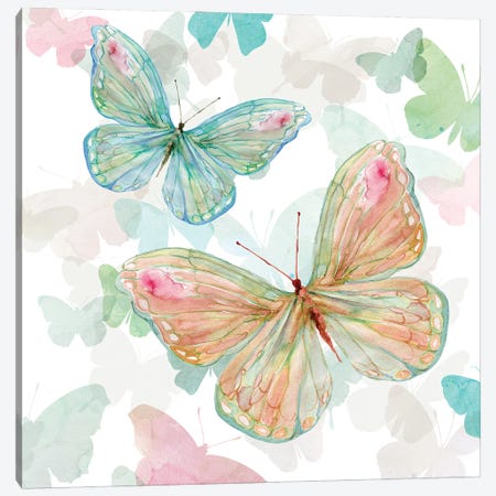 Asbury Garden Butterflies II Canvas Print #CRO906} by Carol Robinson Canvas Print