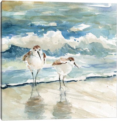 Beach Birds Canvas Art Print - Ocean Art