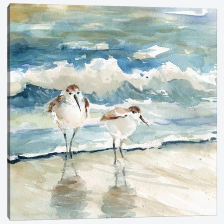 Beach Birds Canvas Print #CRO907} by Carol Robinson Art Print