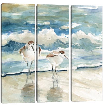 Beach Birds Canvas Art Print - 3-Piece Animal Art