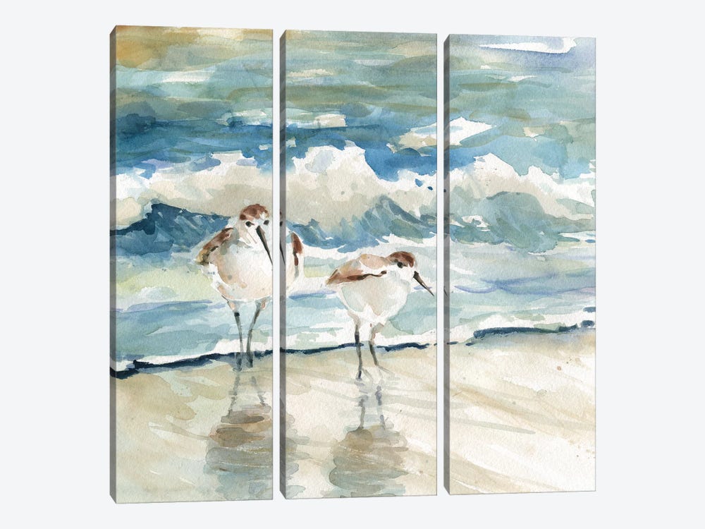 Beach Birds by Carol Robinson 3-piece Canvas Art